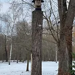 Am Goethepark In Apartment *